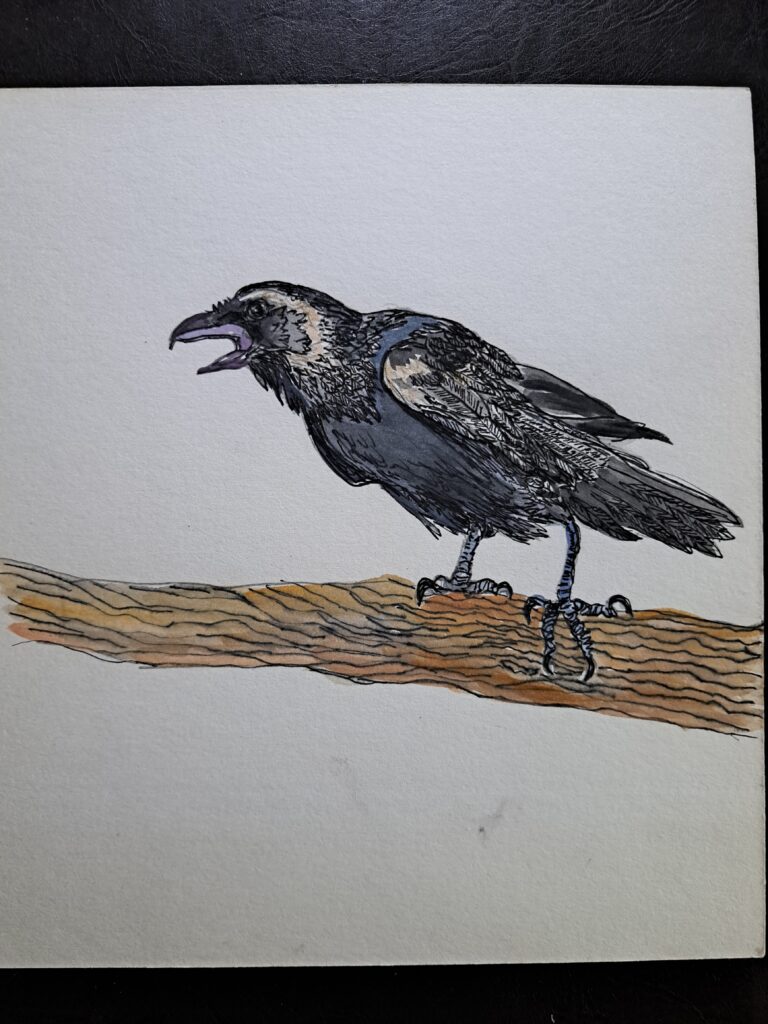 crow mixed media