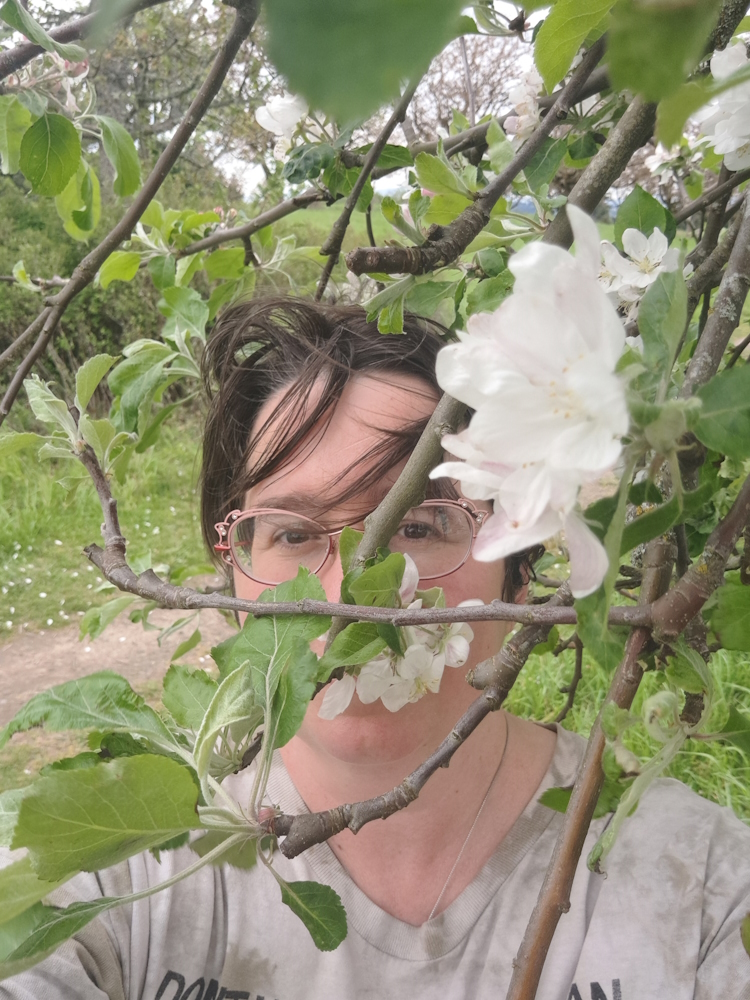 Mazarine Flower